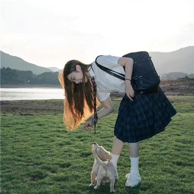 蝴蝶梦